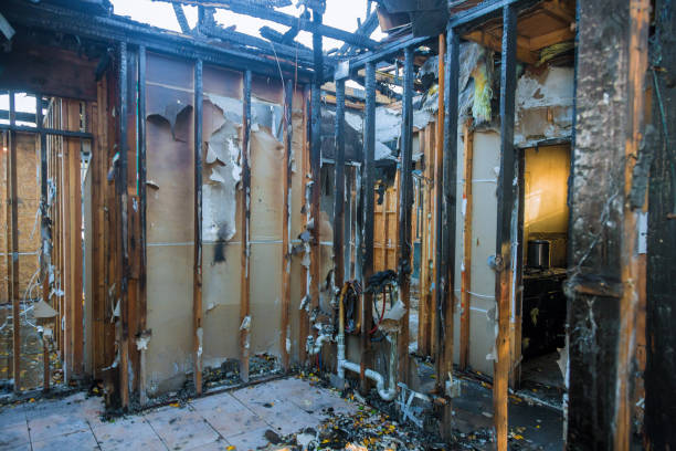 Professional Fire Damage Removal technician working in Follansbee, WV